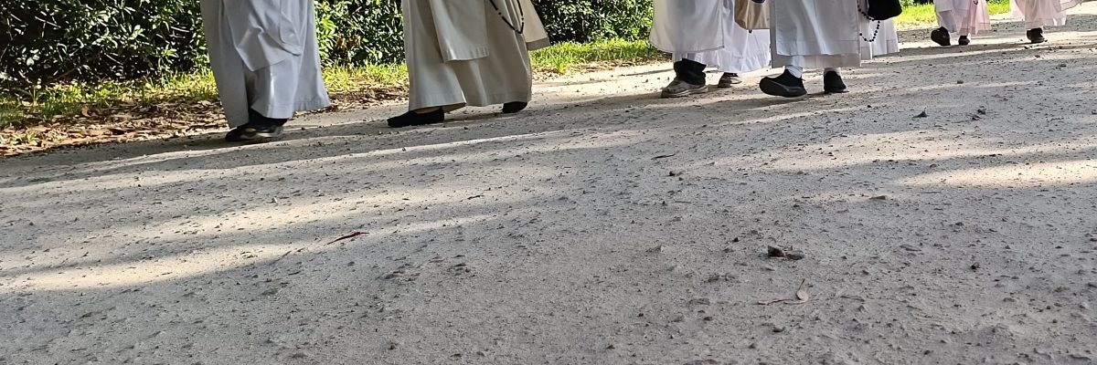 Pascua 3